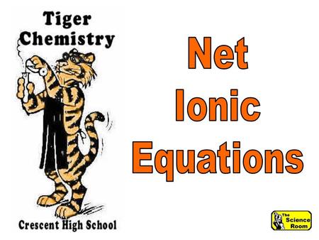 Equations attempt to show only the exact particles involved in the reaction. Net Ionic Equations.