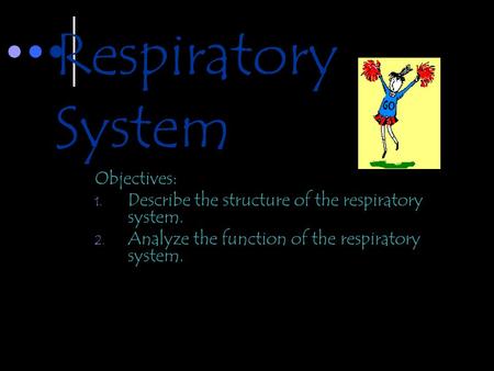 Respiratory System Objectives: