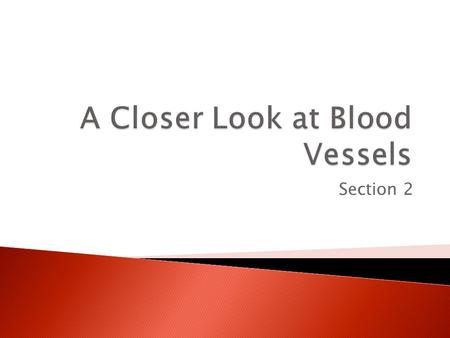 Section 2. When blood leaves the heart, it travels through _____________. The first branches, called the _______________________, carry blood to the heart.