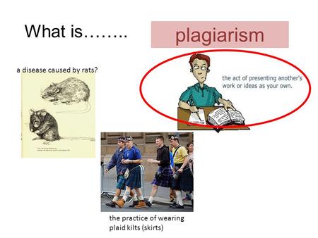 What is…….. a disease caused by rats? the practice of wearing plaid kilts (skirts) plagiarism.