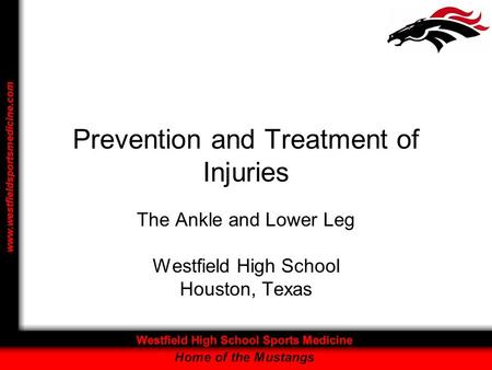 Prevention and Treatment of Injuries