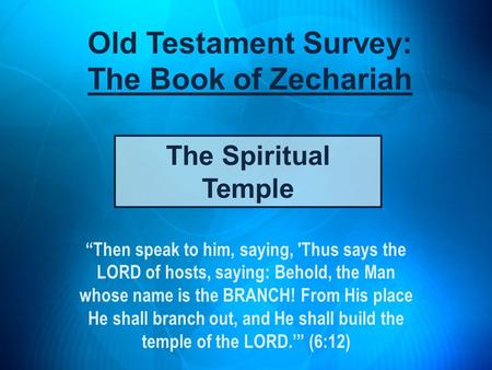 Old Testament Survey: The Book of Zechariah