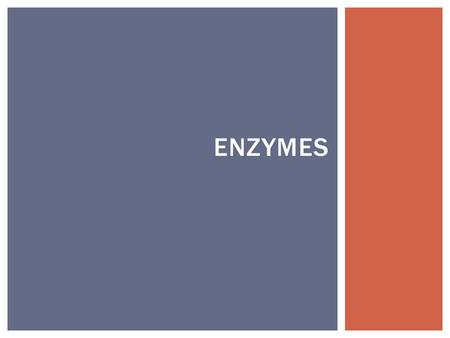 Enzymes.