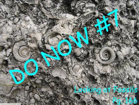 DO NOW #7 Looking at Fossils Pg. 166. 1.Define fossil. 2.Fossils are most often preserved in which type of rock? Why? 3.Explain how organisms are preserved.