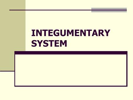 INTEGUMENTARY SYSTEM Comes from the word integumentum = outer covering (latin)