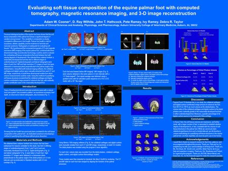 We obtained three cadaver forefeet from horses that had been euthanized for reasons unrelated to this study: two feet in differing stages of underdevelopment.