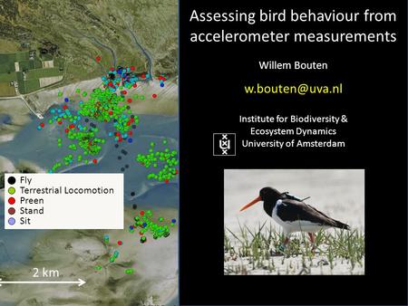 2 km Fly Terrestrial Locomotion Preen Stand Sit Assessing bird behaviour from accelerometer measurements Willem Bouten Institute for Biodiversity.