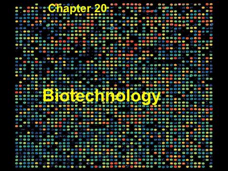 Biotechnology Chapter 20 Figure 20.1