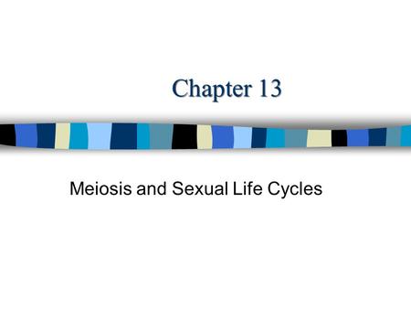 Meiosis and Sexual Life Cycles