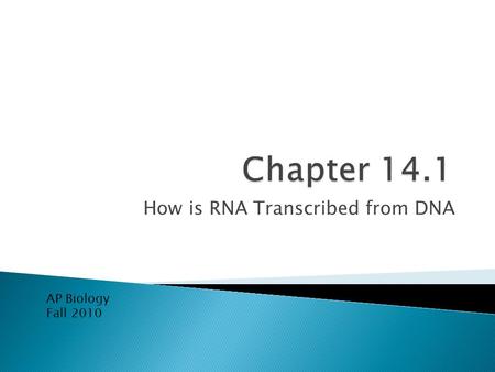 How is RNA Transcribed from DNA