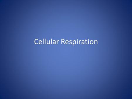 Cellular Respiration.