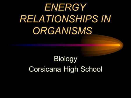 ENERGY RELATIONSHIPS IN ORGANISMS