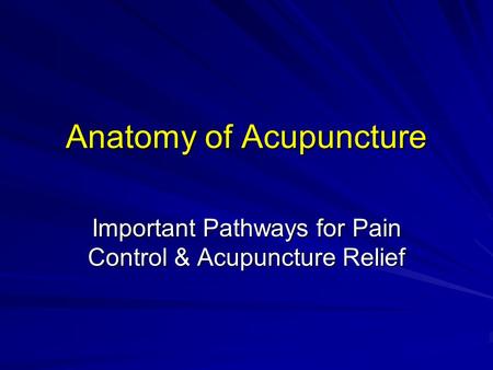 Anatomy of Acupuncture