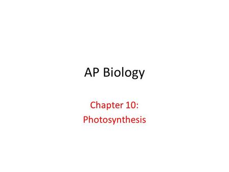 Chapter 10: Photosynthesis