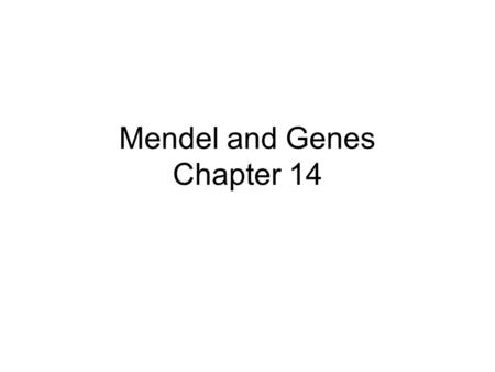 Mendel and Genes Chapter 14