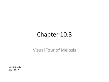 Chapter 10.3 Visual Tour of Meiosis AP Biology Fall 2010.