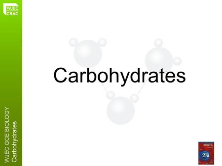 Carbohydrates 2.6 2.6.