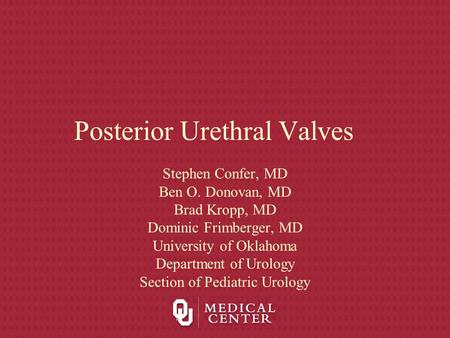 Posterior Urethral Valves