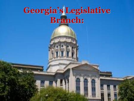 Georgia’s Legislative Branch: