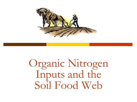 Organic Nitrogen Inputs and the Soil Food Web