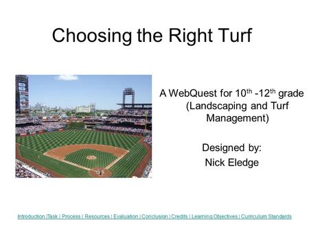 Choosing the Right Turf