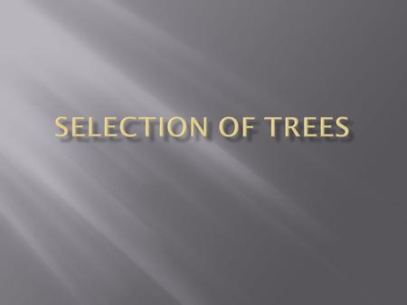 1. List factors that determine how a tree is selected for the landscape. 2. List & discuss the types of trees that can be used in the landscape. 3. Describe.