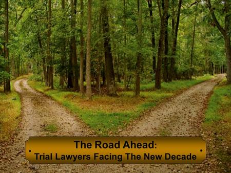 The Road Ahead : Trial Lawyers Facing The New Decade.