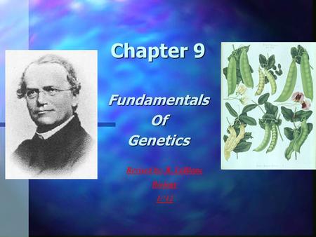 Fundamentals Of Genetics