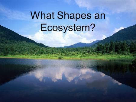 What Shapes an Ecosystem?