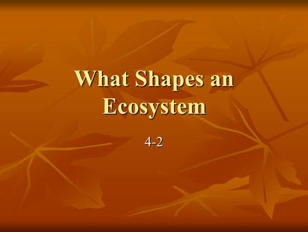 What Shapes an Ecosystem