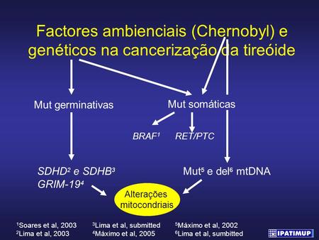 Mut germinativas Mut somáticas BRAF1 RET/PTC SDHD2 e SDHB3 GRIM-194