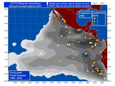 Caguama Mes First quarter Primer trimestre 1990 - 2002 IATTC Observer encounters Encuentros observadores CIAT Background: contour map of numbers of sets.