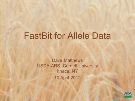 FastBit for Allele Data Dave Matthews USDA-ARS, Cornell University Ithaca, NY 10 April 2012.