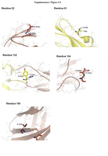 Supplementary Figure 1A