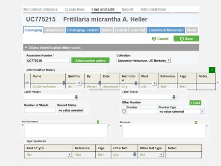 NameQualifierByDateInstitutio n KindReferencePageNotes Custom scinameListPersonStructuredOrgListText Determination History + Kind of TypeReferencePageOther.