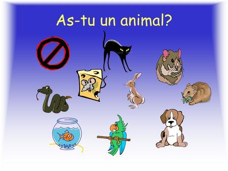 As-tu un animal? Un chien Un lapin Un poisson.