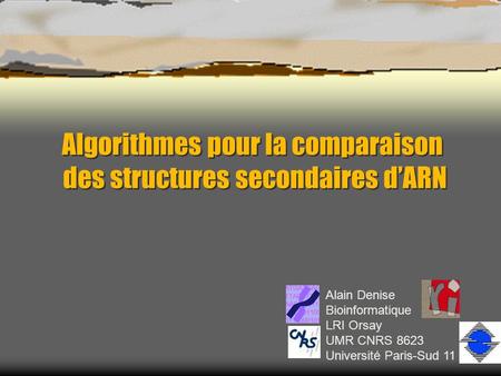 Alain Denise Bioinformatique LRI Orsay UMR CNRS 8623 Université Paris-Sud 11 Algorithmes pour la comparaison des structures secondaires dARN Algorithmes.