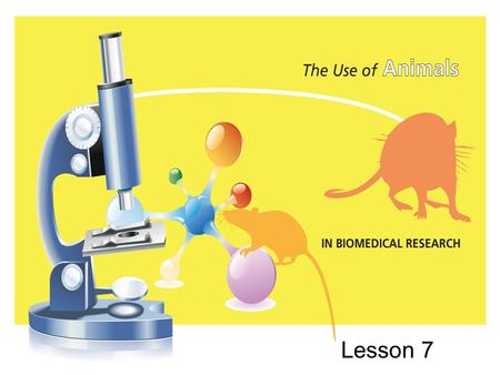 Lesson 7. Learning Topic: Post-trip or Post-virtual Tour analysis Focus Question: Take out your paragraph from the first lesson regarding treatment that.