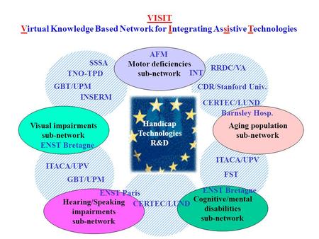 Hearing/Speaking impairments sub-network Aging population sub-network Motor deficiencies sub-network Cognitive/mental disabilities sub-network Visual impairments.