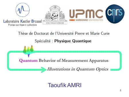 1 Taoufik AMRI. Overview 3 Chapter II Quantum Protocols Chapter III Quantum States and Propositions Chapter VI Detector of « Schrödingers Cat » States.