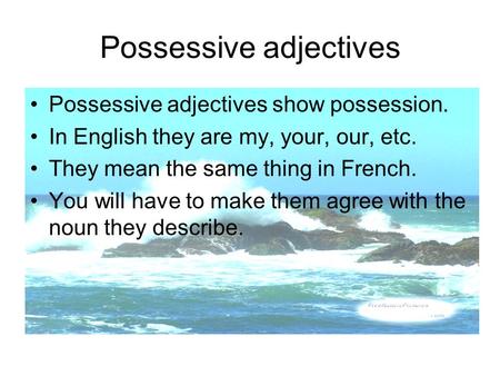 Possessive adjectives