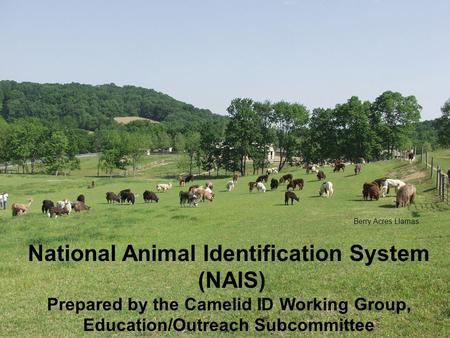 National Animal Identification System (NAIS)