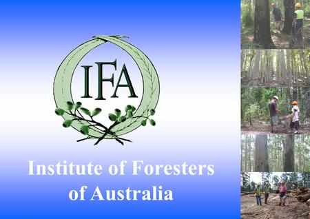 Institute of Foresters