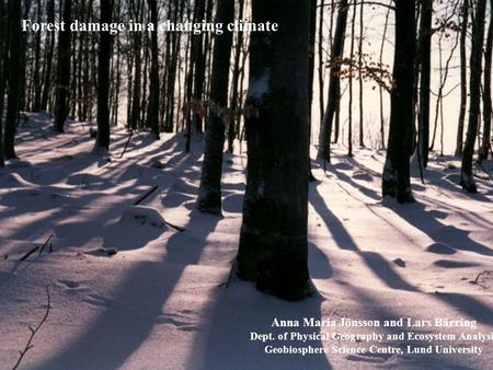 Forest damage in a changing climate