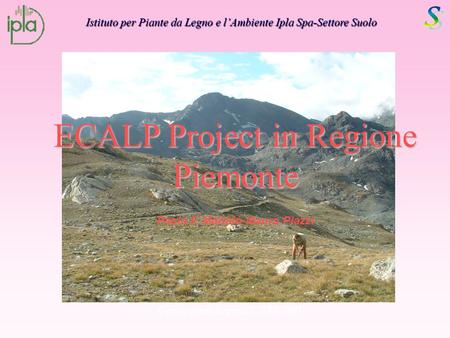 Carta pedologica 1:250.000 Istituto per Piante da Legno e lAmbiente Ipla Spa-Settore Suolo ECALP Project in Regione Piemonte Paolo F. Martalò-Mauro Piazzi.