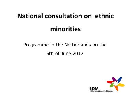 National consultation on ethnic minorities