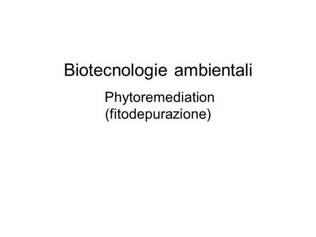 Biotecnologie ambientali Phytoremediation (fitodepurazione)