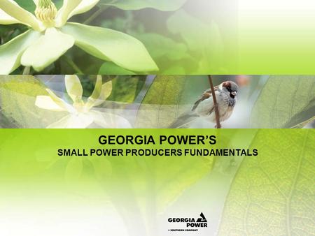 GEORGIA POWER’S SMALL POWER PRODUCERS FUNDAMENTALS