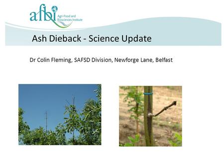 Ash Dieback - Science Update