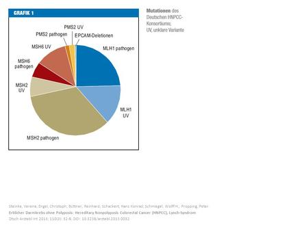 Steinke, Verena; Engel, Christoph; Büttner, Reinhard; Schackert, Hans Konrad; Schmiegel, Wolff H.; Propping, Peter Erblicher Darmkrebs ohne Polyposis: